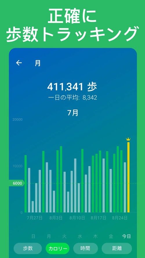 歩数計 スクリーンショット