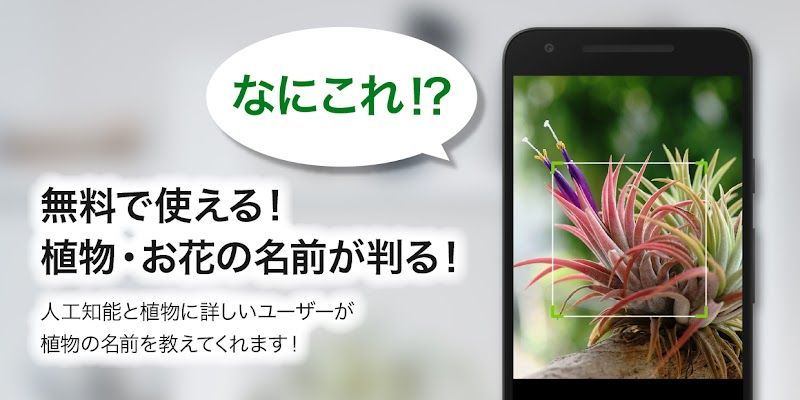 GreenSnap - 植物・花の名前が判る写真共有アプリ スクリーンショット
