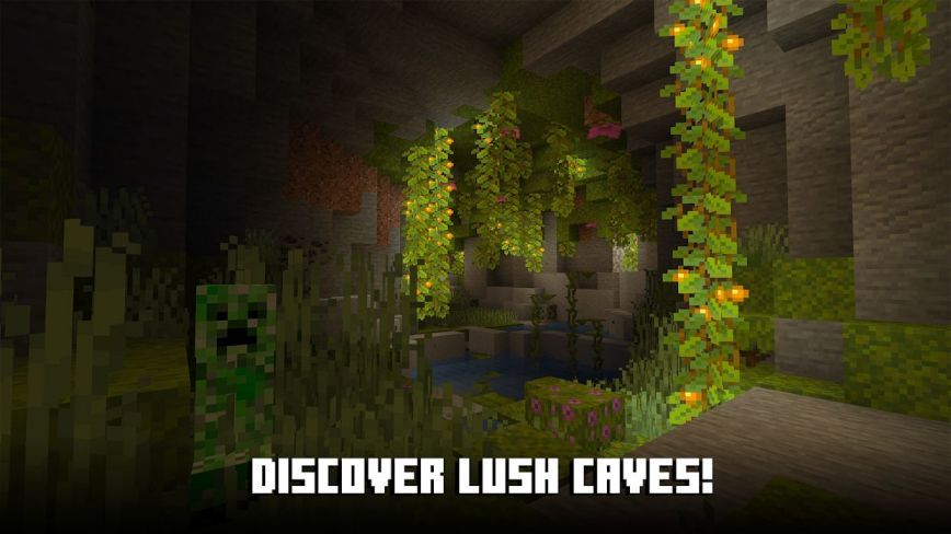 Minecraft スクリーンショット